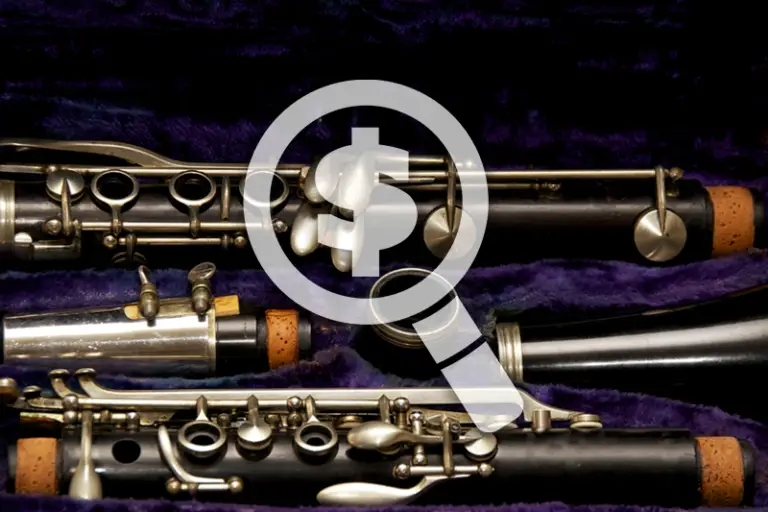 The Cost To Clean Your Professional or DIY? Clean My Instrument