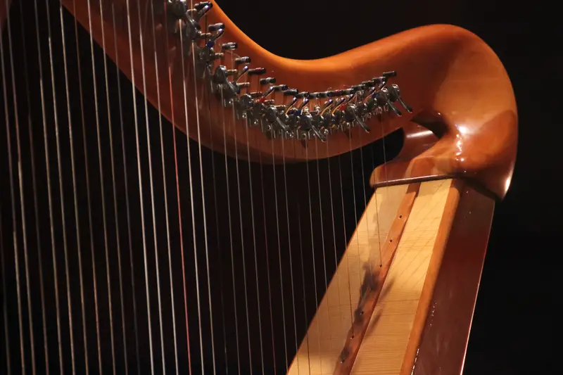 Harp Closeup
