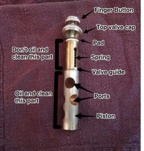 trumpet valve anatomy