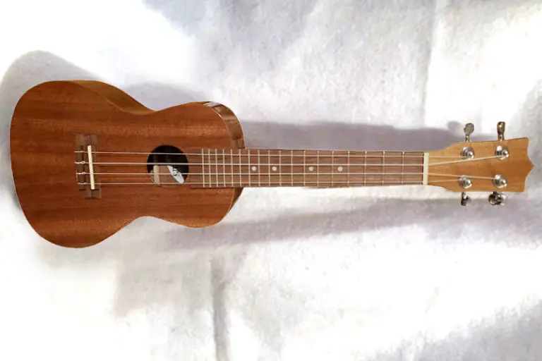 ukulele repair near me