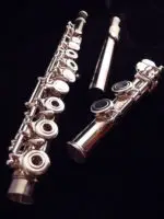 How Much Does It Cost to Clean A Flute? Professional vs DIY – Clean My