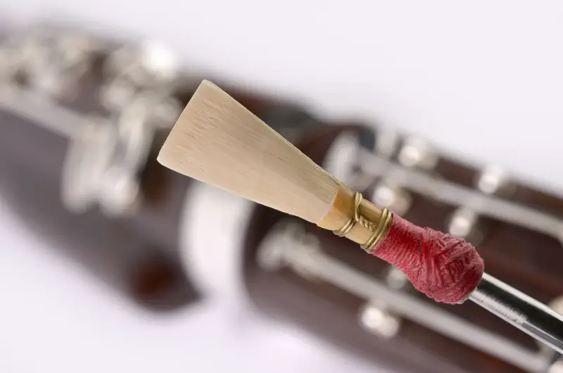 Bassoon double reed focus