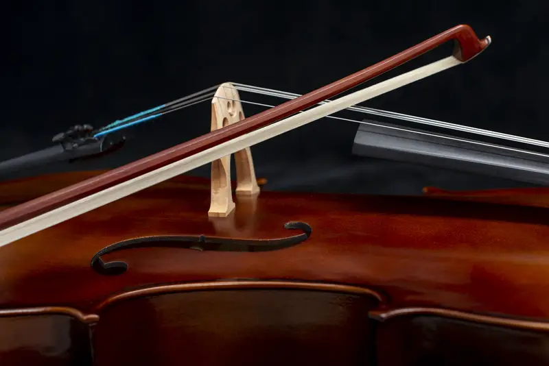 closeup of cello bow on cello