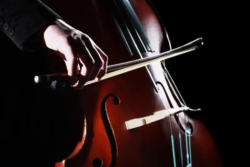 closeup of double bass being played